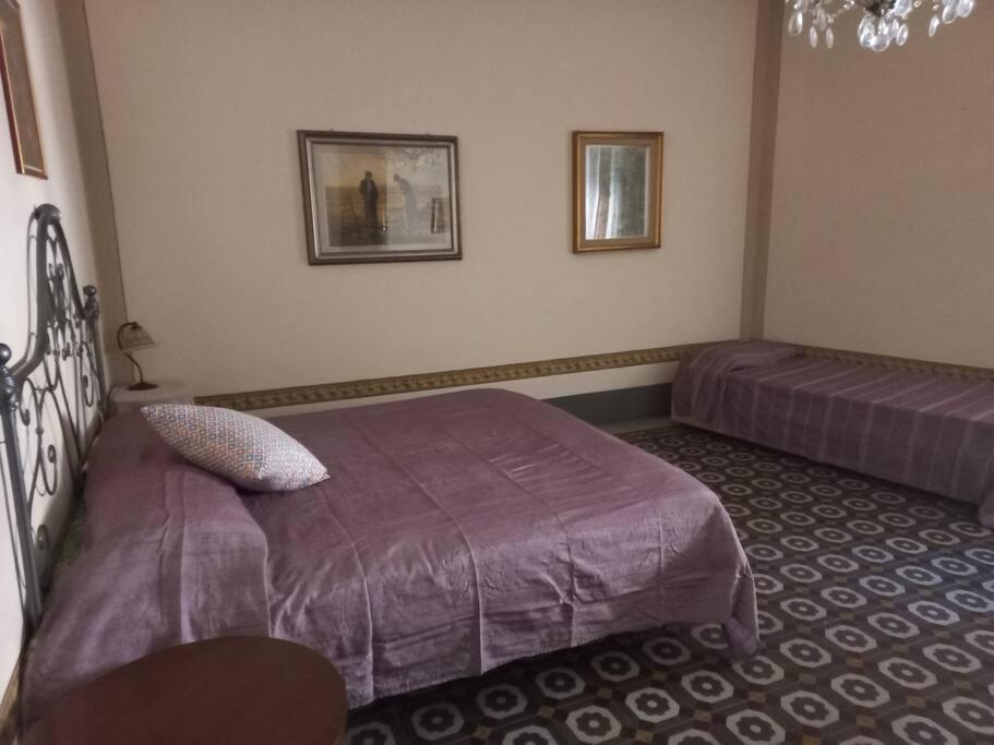 Villa La Casa Maestri A Cetona Esterno foto